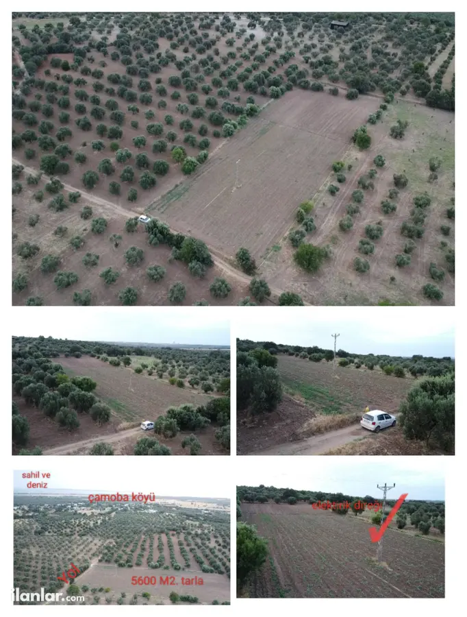 Çanakkale Ezine Çamoba Köyü Mahallesi 5.600 m² satılık tarla arsa - Fotoğraf 3