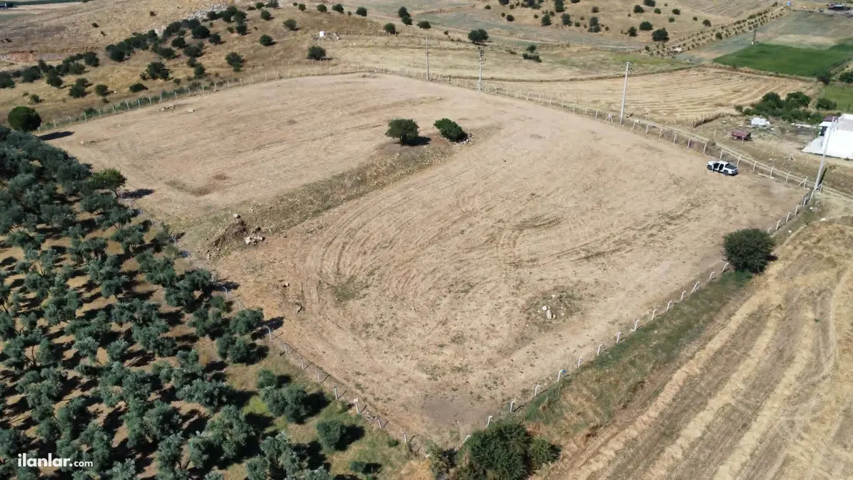 İzmir Tire Adnan Menderes Mahallesi 11.738 m² satılık tarla arsa - Fotoğraf 3