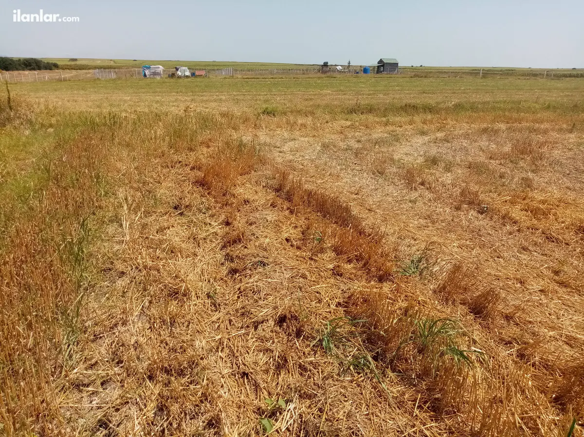 Tekirdağ Kapaklı Uzunhacı Mahallesi 250 m² satılık tarla arsa - Fotoğraf 1