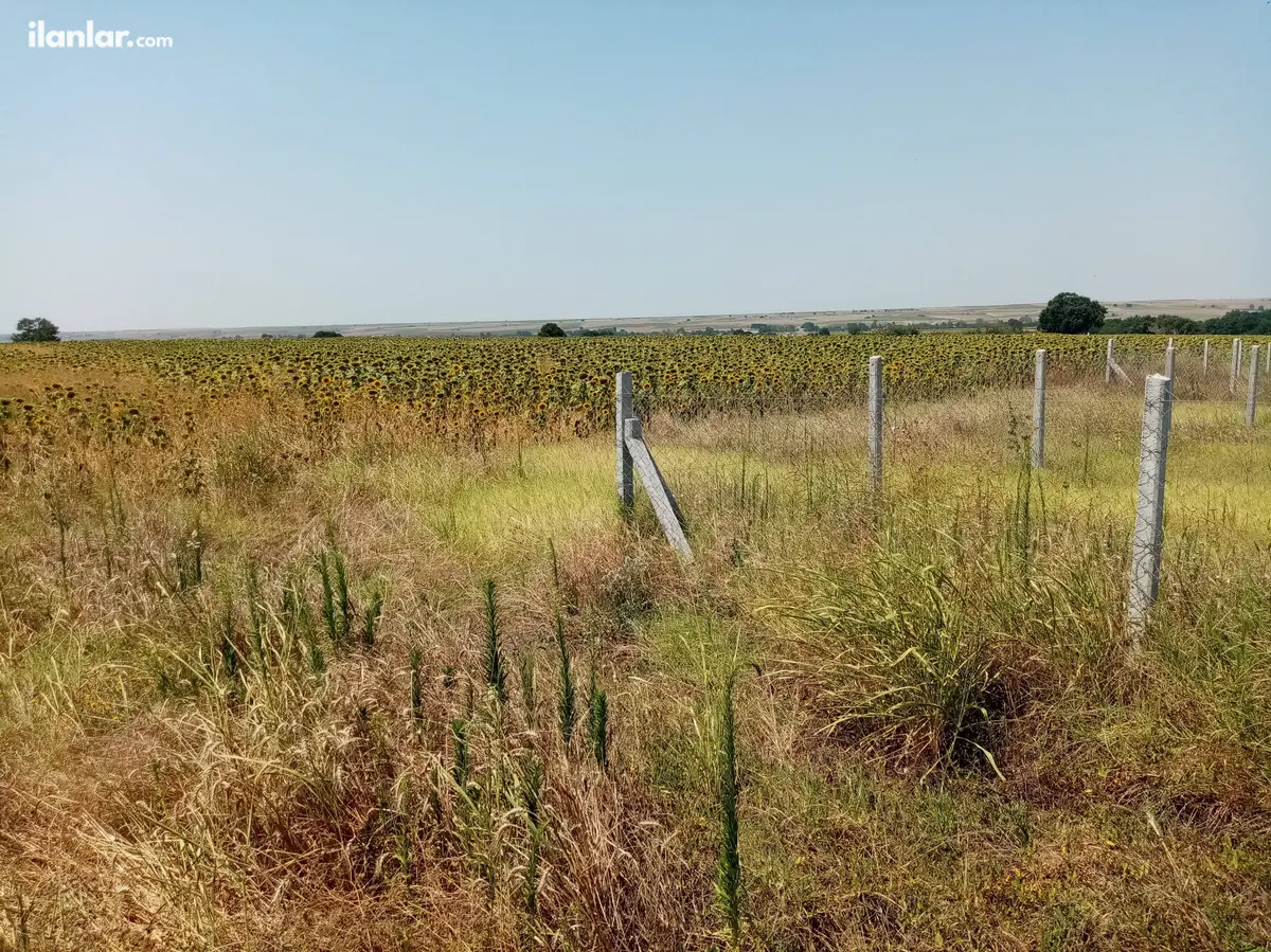 Tekirdağ Kapaklı Uzunhacı Mahallesi 250 m² satılık tarla arsa - Fotoğraf 2