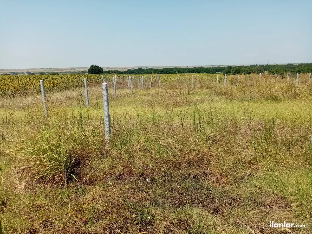 Tekirdağ Kapaklı Uzunhacı Mahallesi 250 m² satılık tarla arsa - Fotoğraf 3