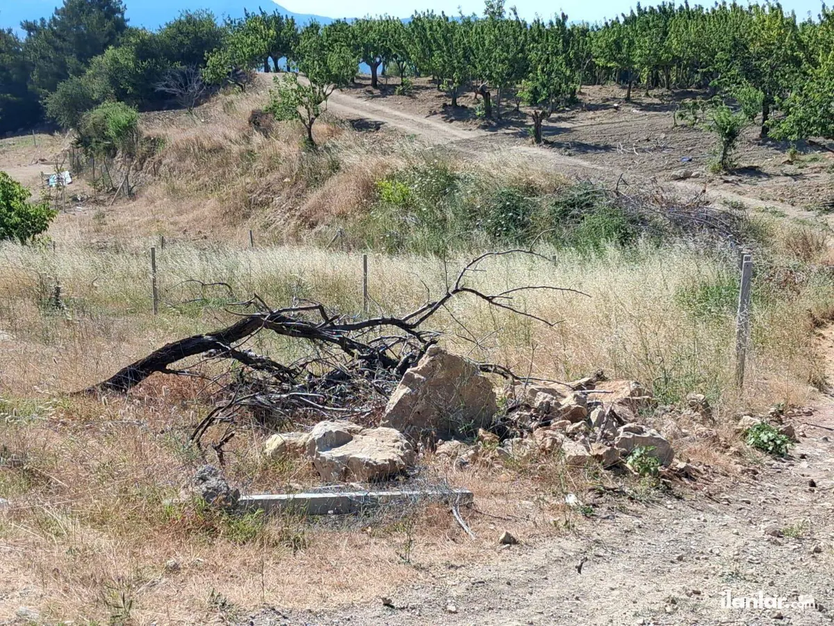 İzmir Kemalpaşa Damlacık Mahallesi 250 m² satılık tarla arsa - Fotoğraf 1