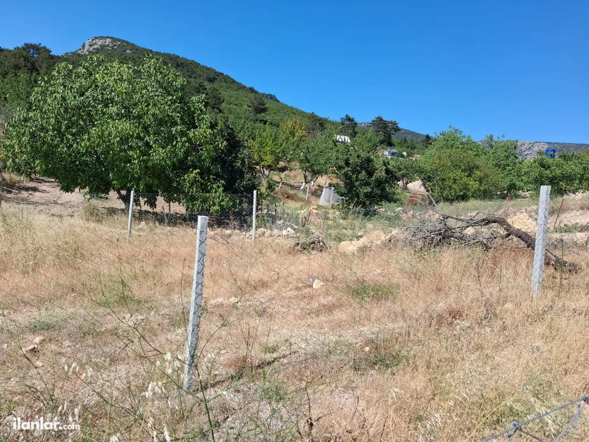 İzmir Kemalpaşa Damlacık Mahallesi 250 m² satılık tarla arsa - Fotoğraf 3