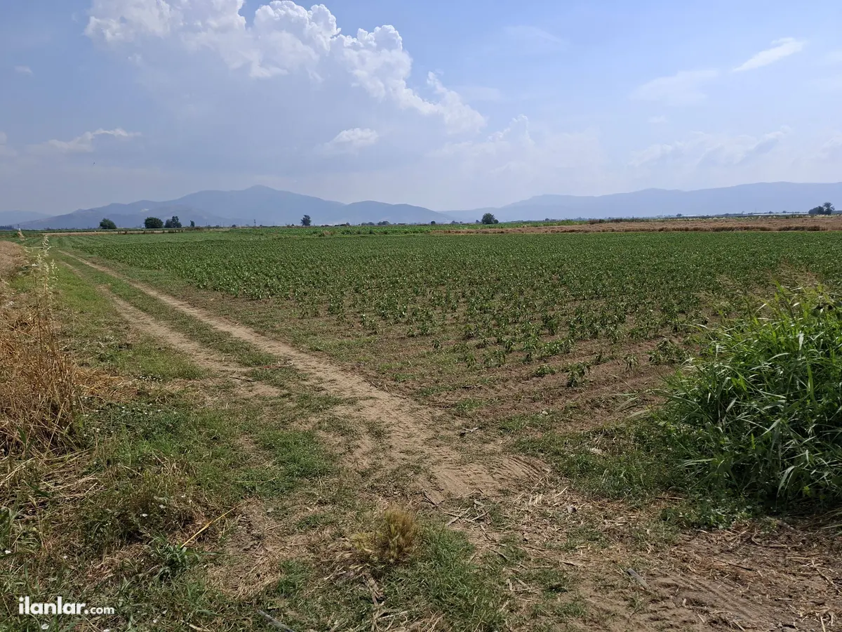 İzmir Bayındır Çırpı Cami Mahallesi 6.570 m² satılık arazi arsa - Fotoğraf 1