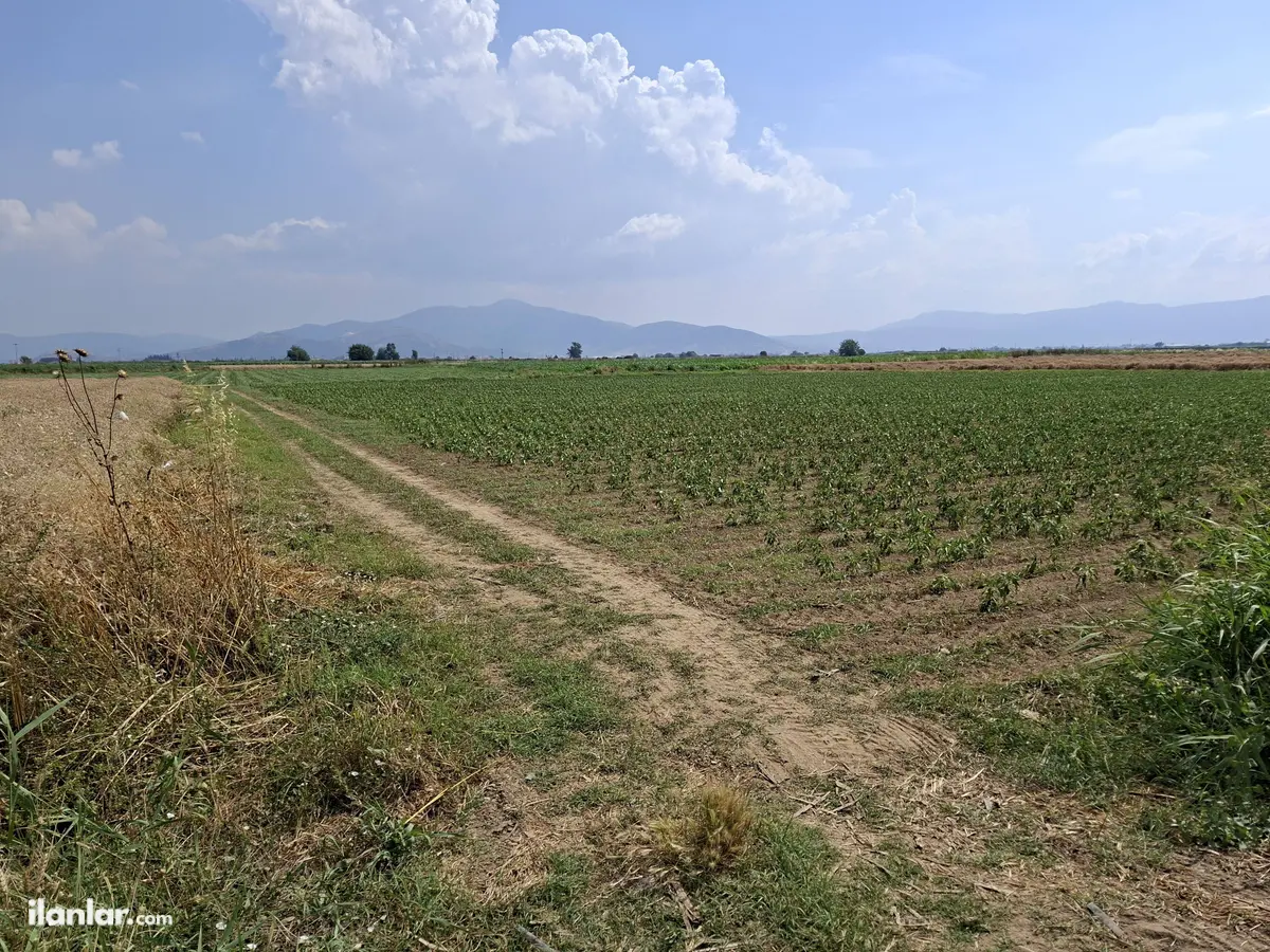 İzmir Bayındır Çırpı Cami Mahallesi 6.570 m² satılık arazi arsa - Fotoğraf 2