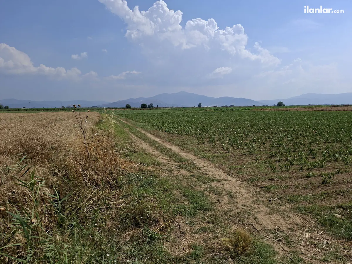 İzmir Bayındır Çırpı Cami Mahallesi 6.570 m² satılık arazi arsa - Fotoğraf 3
