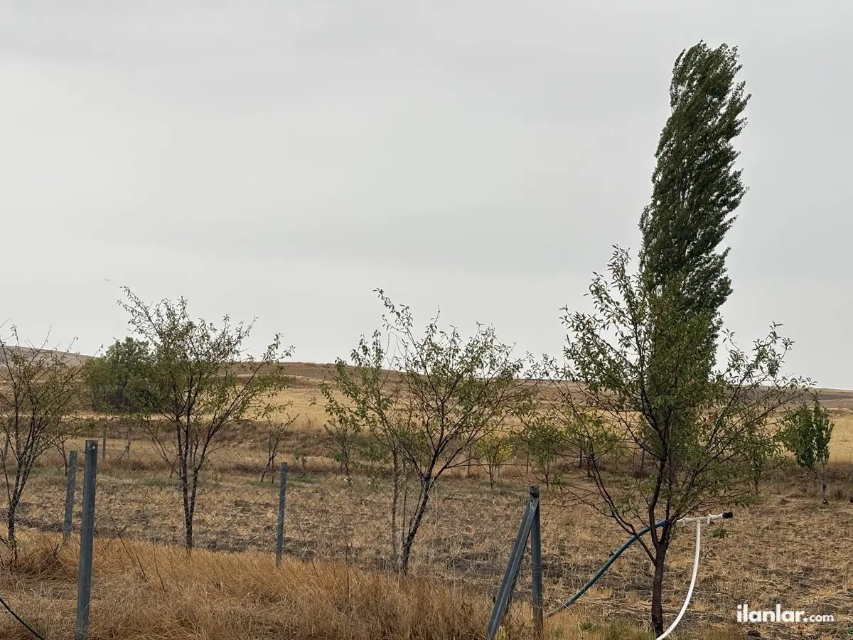 Eskişehir Odunpazarı Karapazar Mahallesi 1.550 m² satılık tarla arsa - Fotoğraf 1