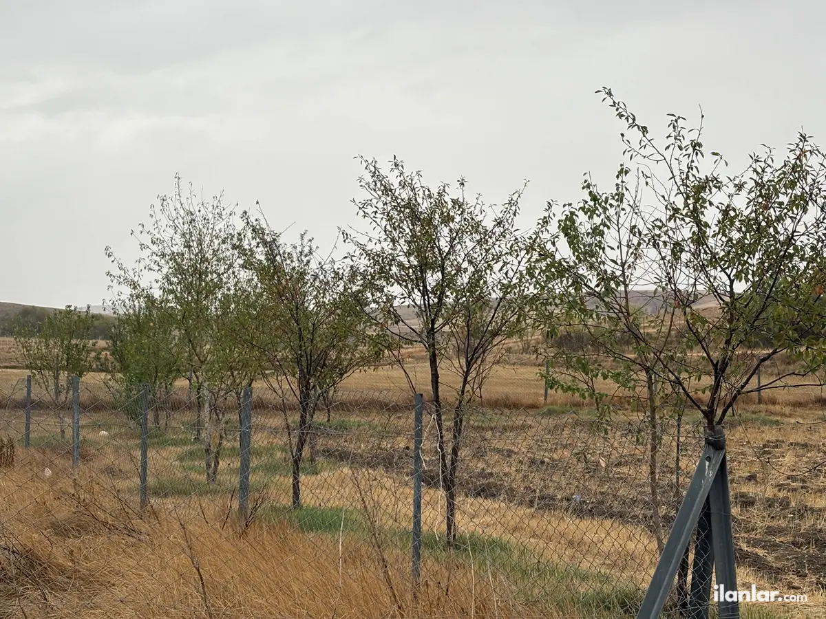 Eskişehir Odunpazarı Karapazar Mahallesi 1.550 m² satılık tarla arsa - Fotoğraf 2