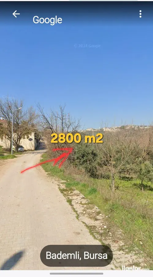 Bursa Mudanya Bademli Mahallesi 2.800 m² satılık bağ & Bahçe arsa - Fotoğraf 2
