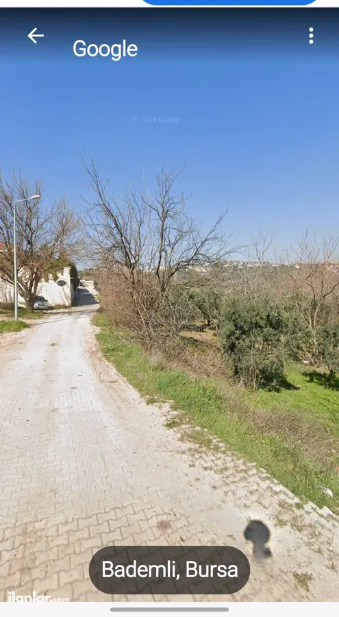 Bursa Mudanya Bademli Mahallesi 2.800 m² satılık bağ & Bahçe arsa - Fotoğraf 3