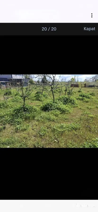 Samsun Çarşamba Aşağı Turgutlu Mahallesi 2.029 m² satılık tarla arsa - Fotoğraf 3