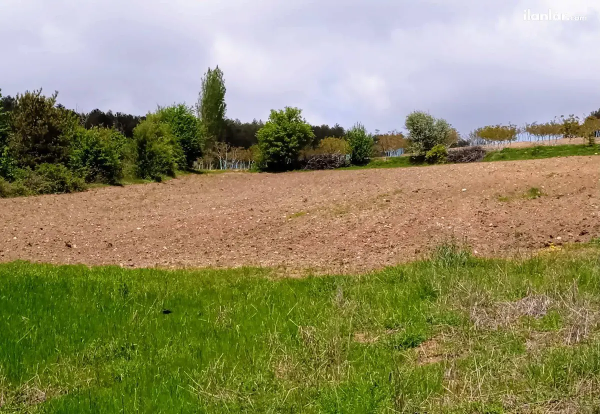 Bilecik Gölpazarı Armutçuk Köyü Mahallesi 7.709 m² satılık tarla arsa - Fotoğraf 1
