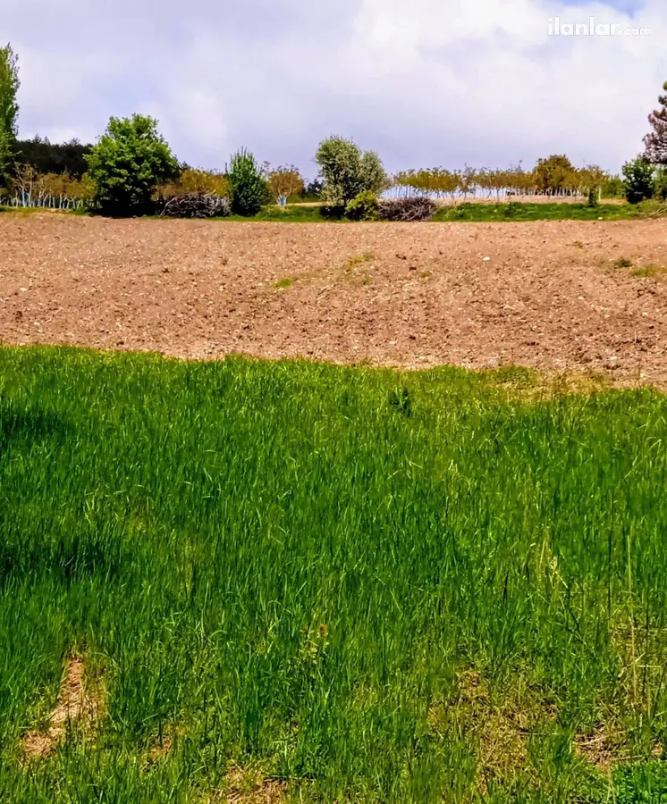 Bilecik Gölpazarı Armutçuk Köyü Mahallesi 7.709 m² satılık tarla arsa - Fotoğraf 2