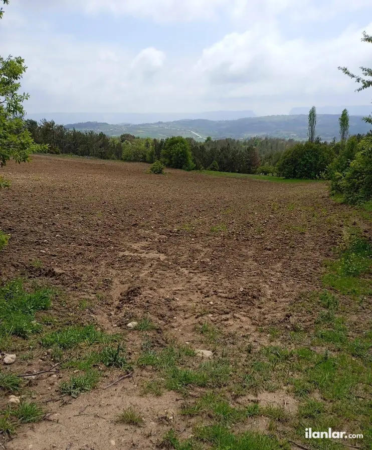 Bilecik Gölpazarı Armutçuk Köyü Mahallesi 7.709 m² satılık tarla arsa - Fotoğraf 3