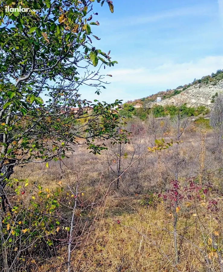 Bilecik Gölpazarı Armutçuk Köyü Mahallesi 4.847 m² satılık bağ & Bahçe arsa - Fotoğraf 2