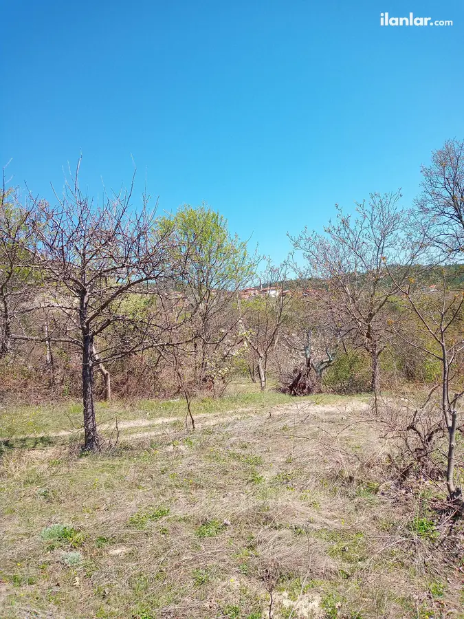 Bilecik Gölpazarı Armutçuk Köyü Mahallesi 1.887 m² satılık bağ & Bahçe arsa - Fotoğraf 1