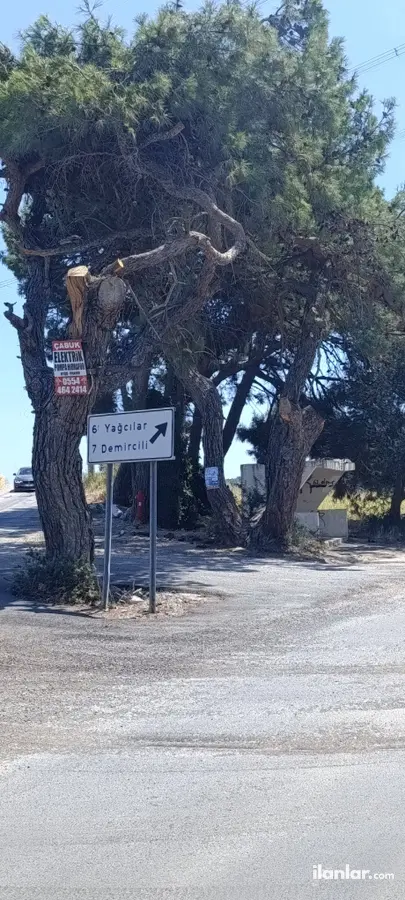 İzmir Urla Kuşçular Mahallesi 10.913 m² satılık tarla arsa - Fotoğraf 2