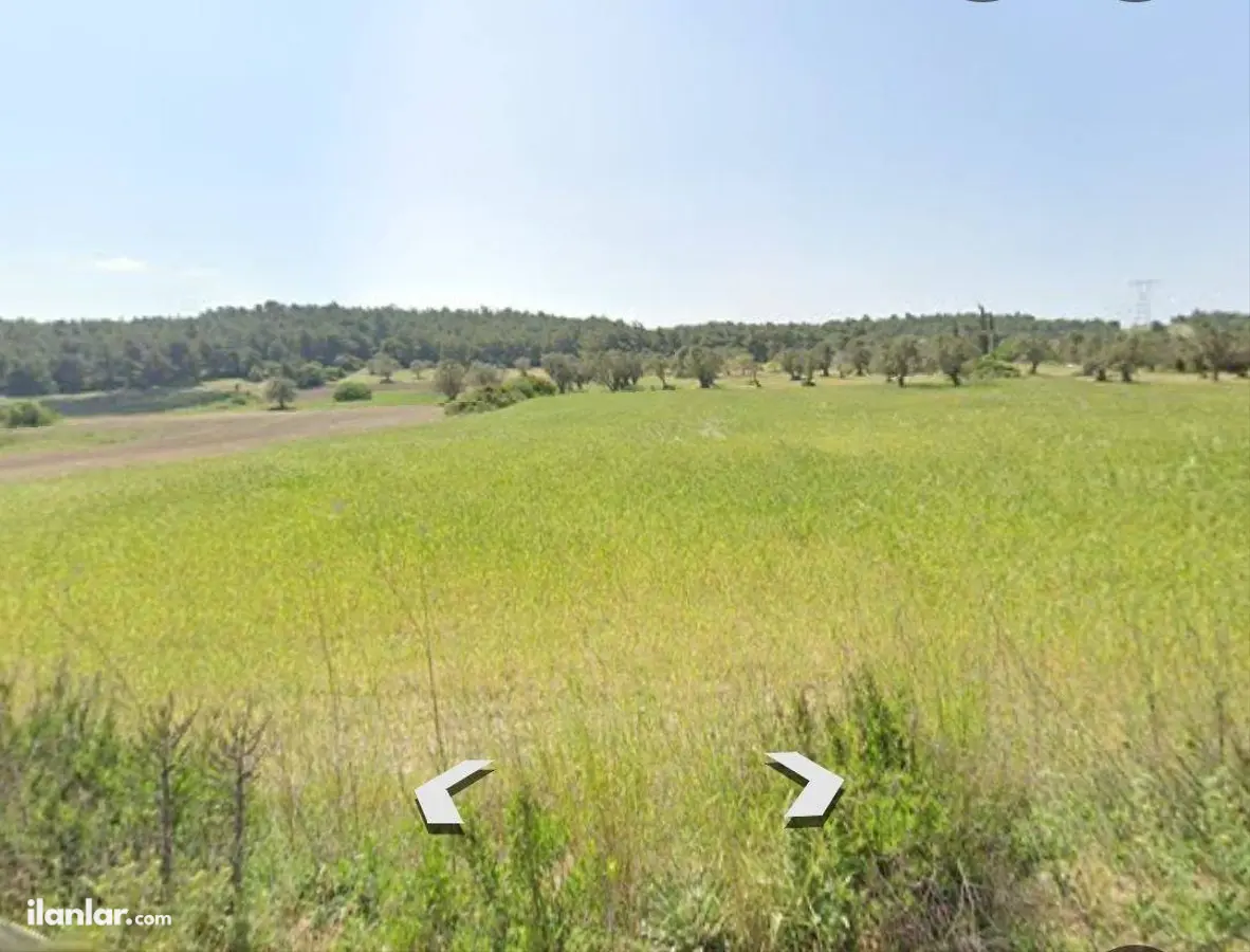 İzmir Urla Kuşçular Mahallesi 10.913 m² satılık tarla arsa - Fotoğraf 1