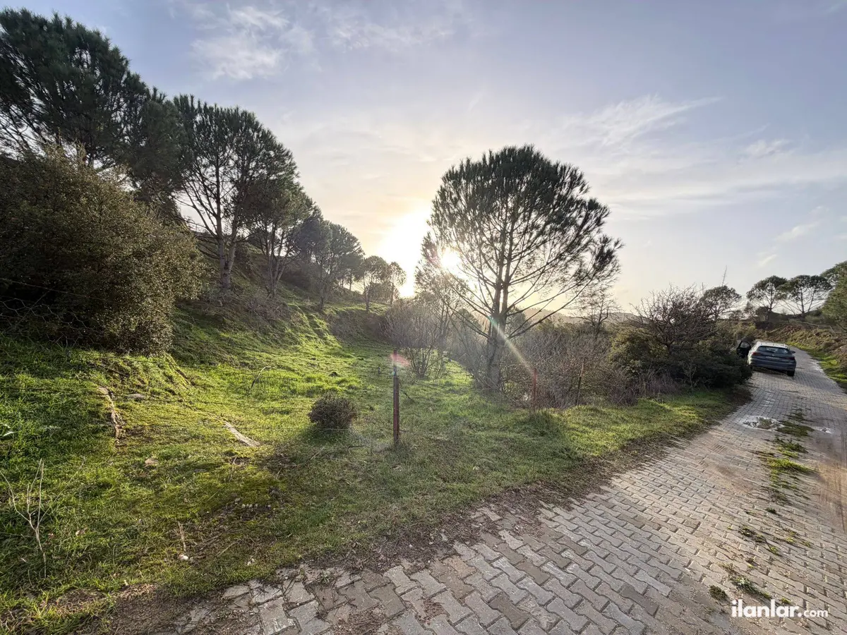 Muğla Kavaklıdere Kurucuova Mahallesi 1.356 m² satılık arazi arsa - Fotoğraf 3