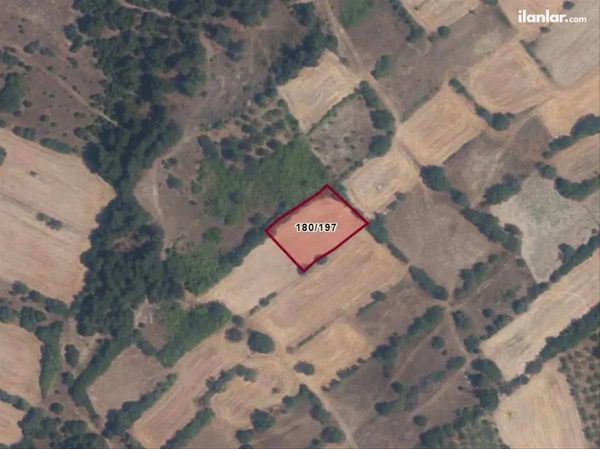 Balıkesir Altıeylül Bereketli Mahallesi 1.318 m² satılık arazi arsa - Fotoğraf 3