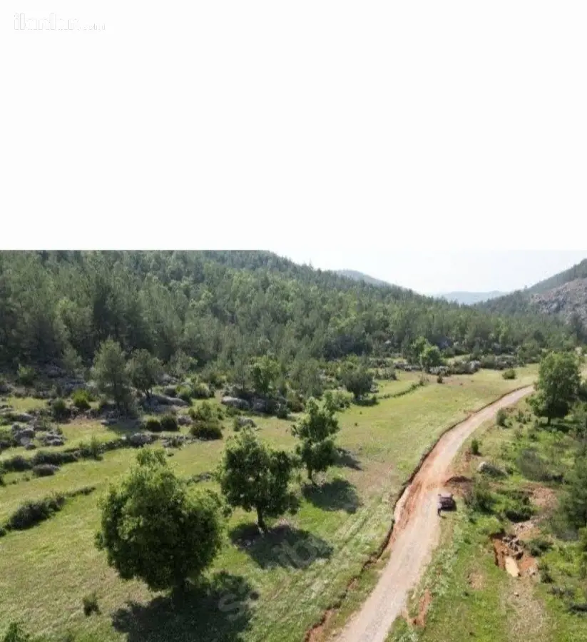 Antalya Alanya Orhan Mahallesi 650 m² satılık arazi arsa - Fotoğraf 1