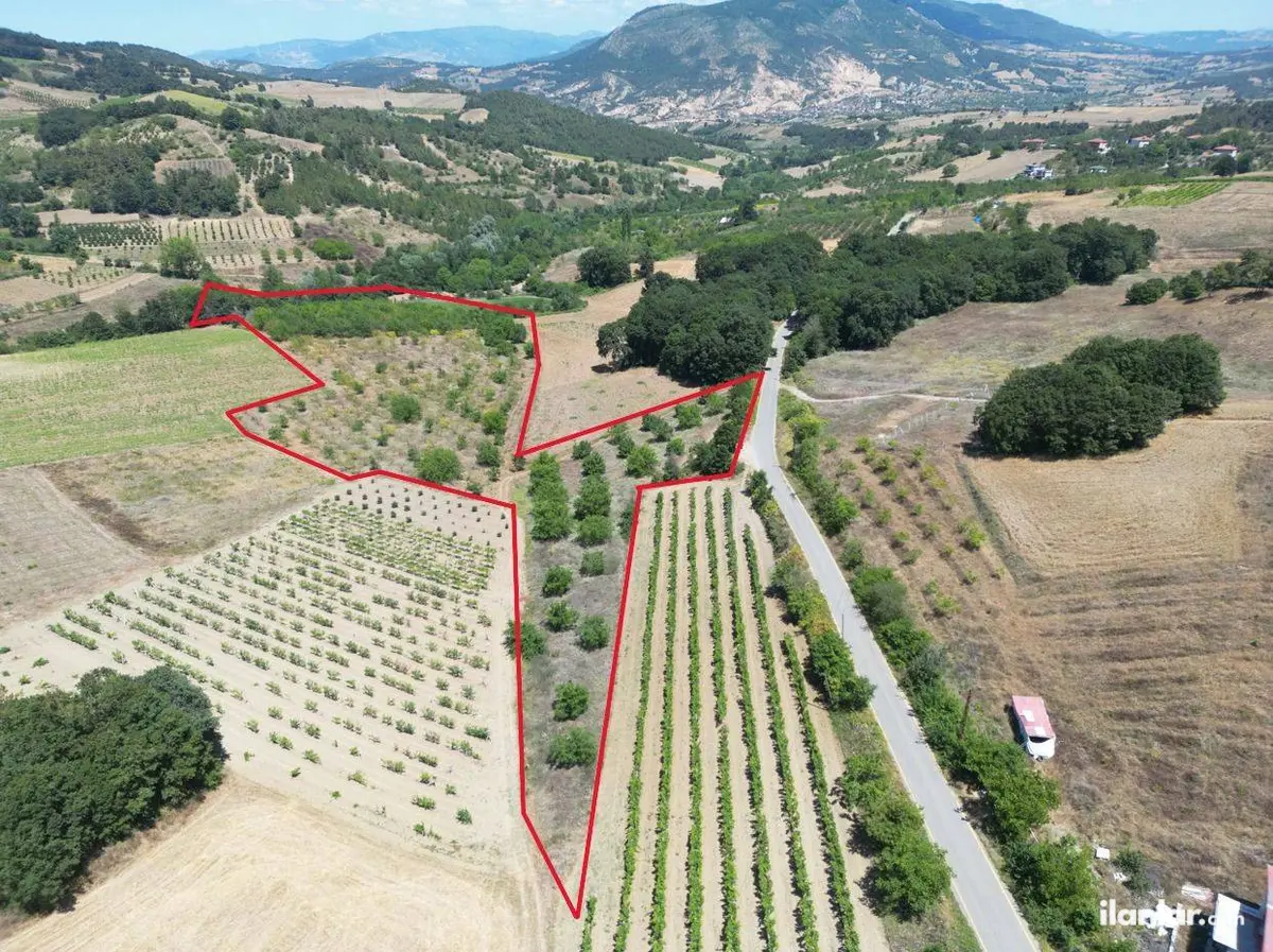 Sakarya Geyve Çukurköy Mahallesi 24.000 m² satılık bağ & Bahçe arsa - Fotoğraf 2