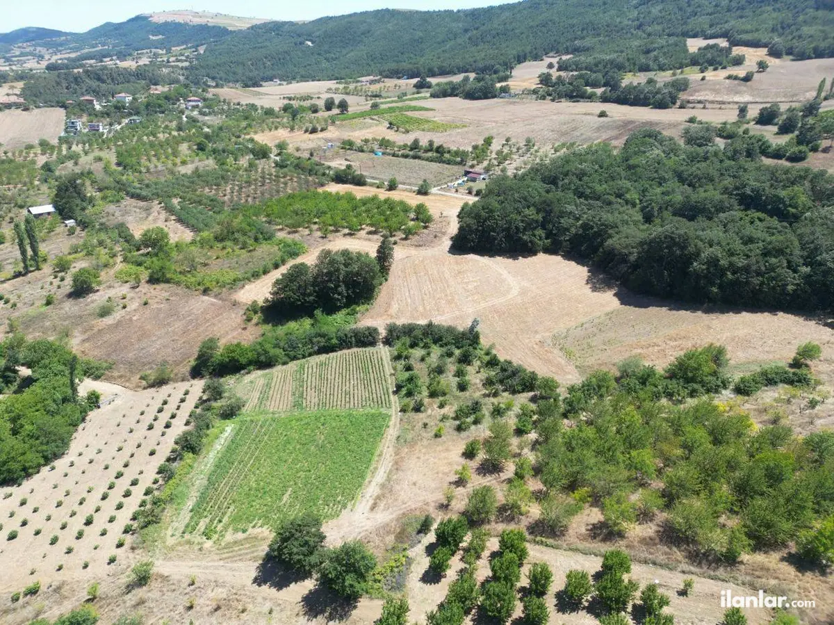 Sakarya Geyve Çukurköy Mahallesi 24.000 m² satılık bağ & Bahçe arsa - Fotoğraf 3