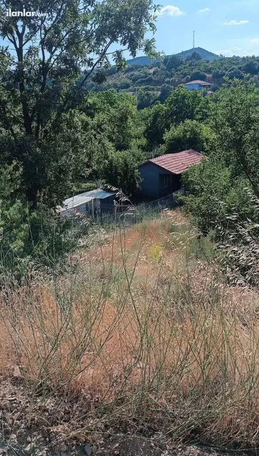 Manisa Turgutlu Dağyeniköy Mahallesi 298 m² satılık bağ & Bahçe arsa - Fotoğraf 2