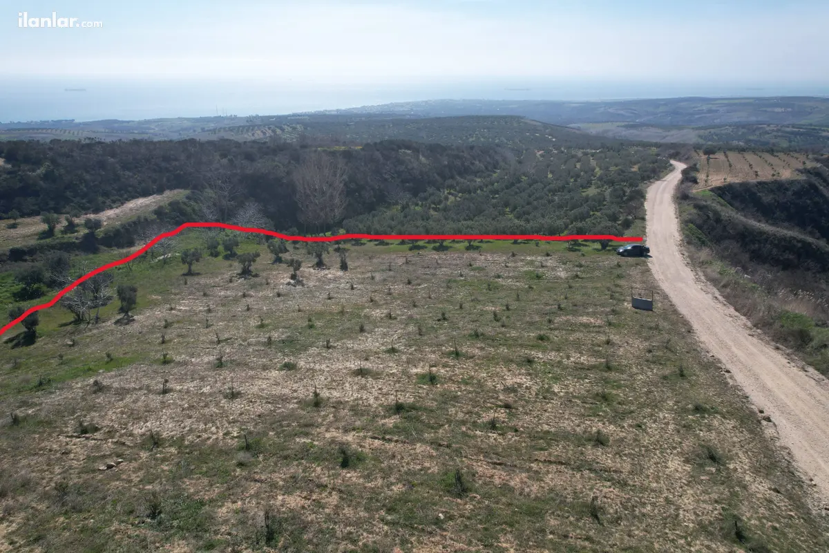 Tekirdağ Şarköy Tepeköy Mahallesi 4.412 m² satılık zeytinlik arsa - Fotoğraf 1