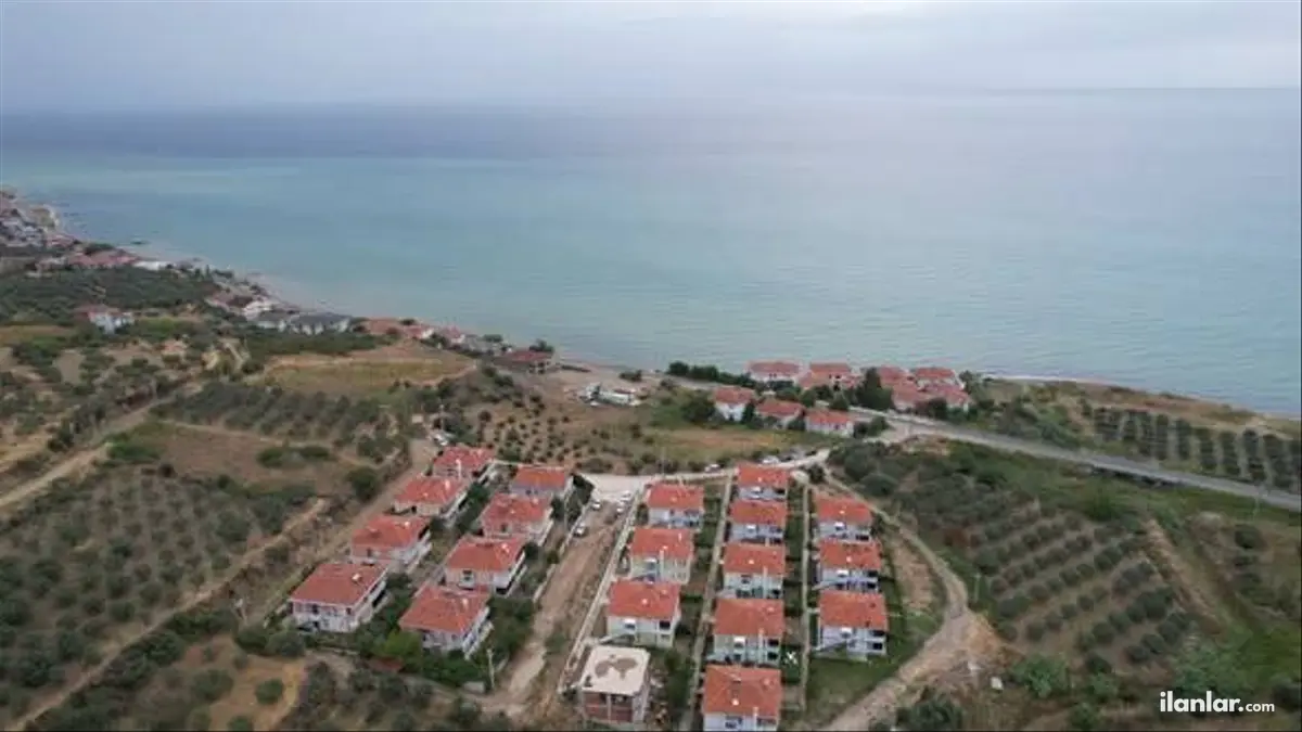 Tekirdağ Şarköy Hoşköy Mahallesi 8.000 m² satılık zeytinlik arsa - Fotoğraf 1