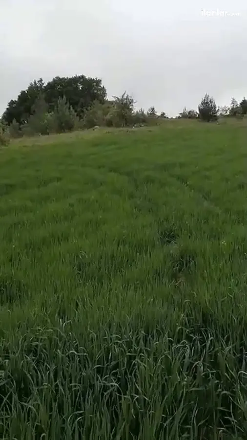 Bursa Orhaneli Akalan Mahallesi 8.000 m² satılık muhtelif Arsa arsa - Fotoğraf 2