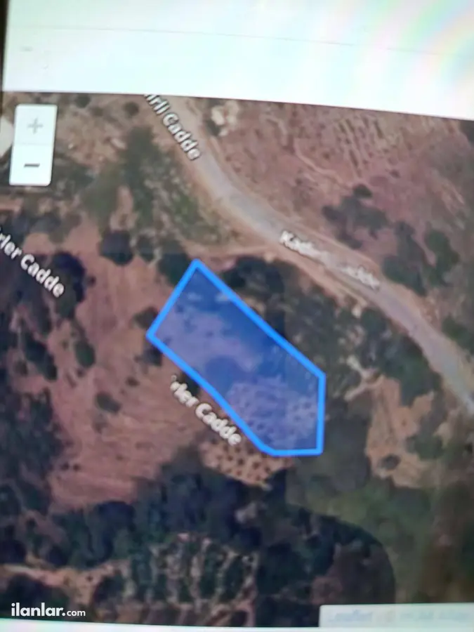 Antalya Alanya Kargıcak Mahallesi 185 m² satılık muhtelif Arsa arsa - Fotoğraf 1