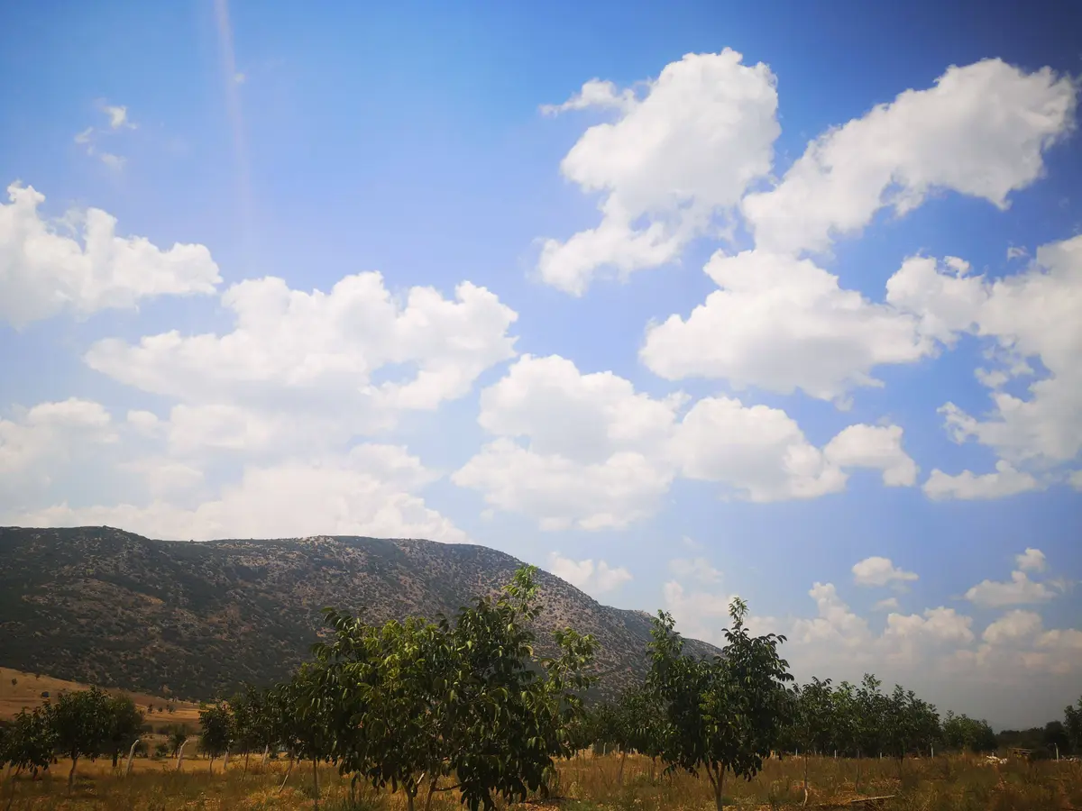 Denizli Tavas Garipköy Mahallesi 5.790 m² satılık tarla arsa - Fotoğraf 2
