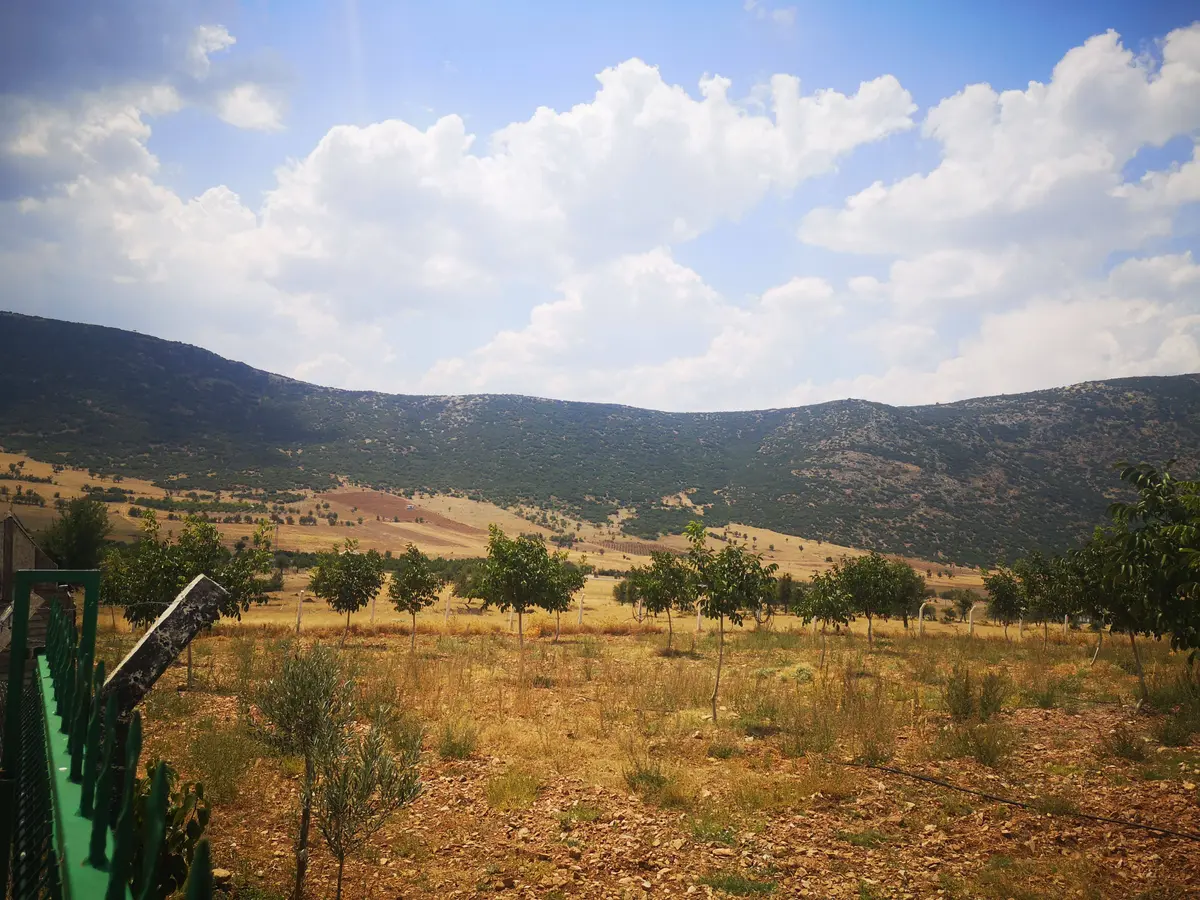 Denizli Tavas Garipköy Mahallesi 5.790 m² satılık tarla arsa - Fotoğraf 3