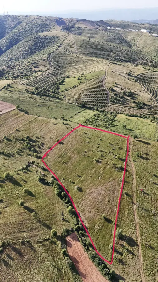 Manisa Kula Gökçeören Mahallesi 22.470 m² satılık tarla arsa - Fotoğraf 1