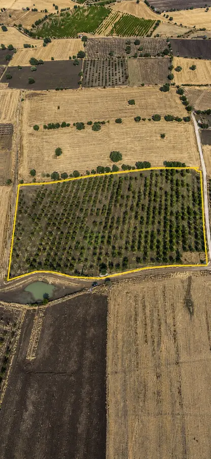 Manisa Kula İbrahimağa Mahallesi 25.650 m² satılık tarla arsa - Fotoğraf 1