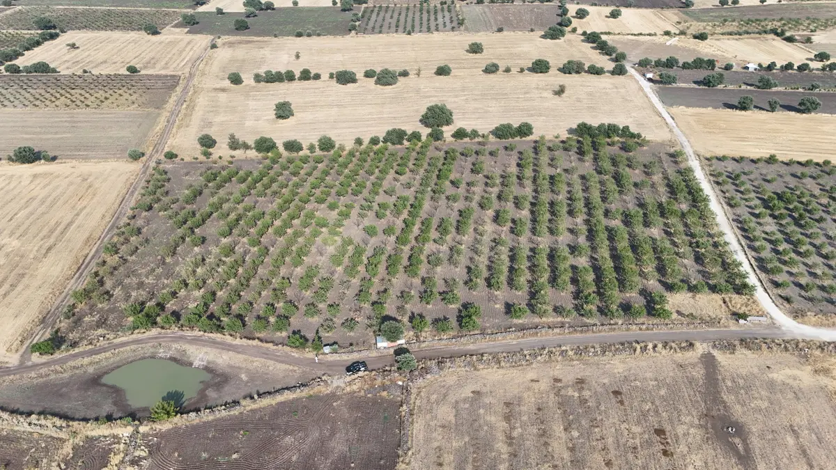 Manisa Kula İbrahimağa Mahallesi 25.650 m² satılık tarla arsa - Fotoğraf 2