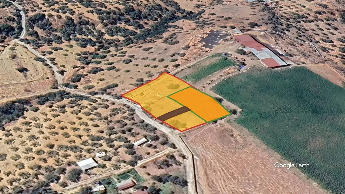 İzmir Torbalı Dirmil Mahallesi 820 m² satılık zeytinlik arsa - Fotoğraf 2
