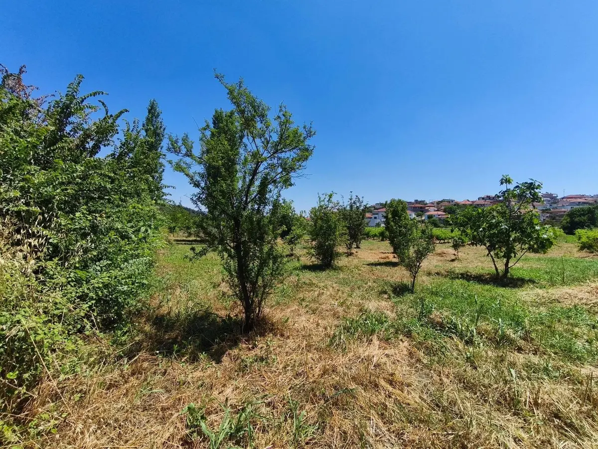 İzmir Selçuk Gökçealan Mahallesi 724 m² satılık tarla arsa - Fotoğraf 1