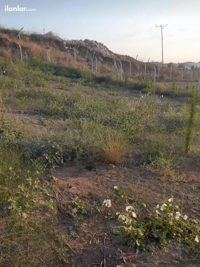 Adana Karaisalı Topaktaş Mahallesi 845 m² satılık tarla arsa - Fotoğraf 2