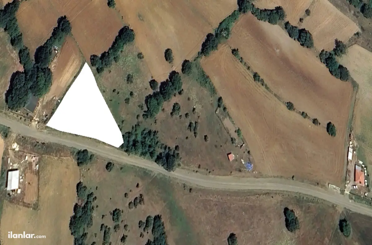Bilecik Bozüyük Hamidiye Köyü Mahallesi 1.517 m² satılık bağ & Bahçe arsa - Fotoğraf 3