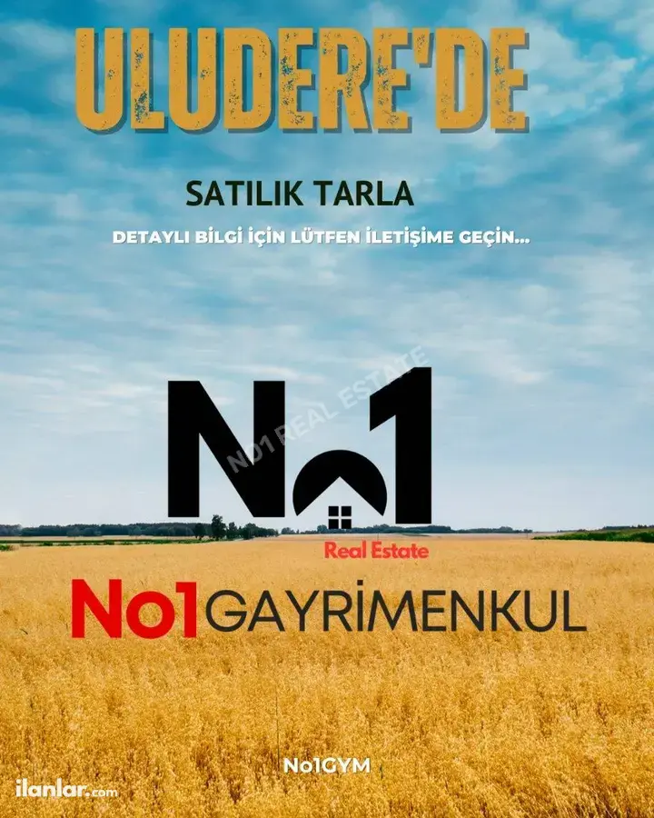 Eskişehir Tepebaşı Uludere Mahallesi 12.600 m² satılık tarla arsa - Fotoğraf 1