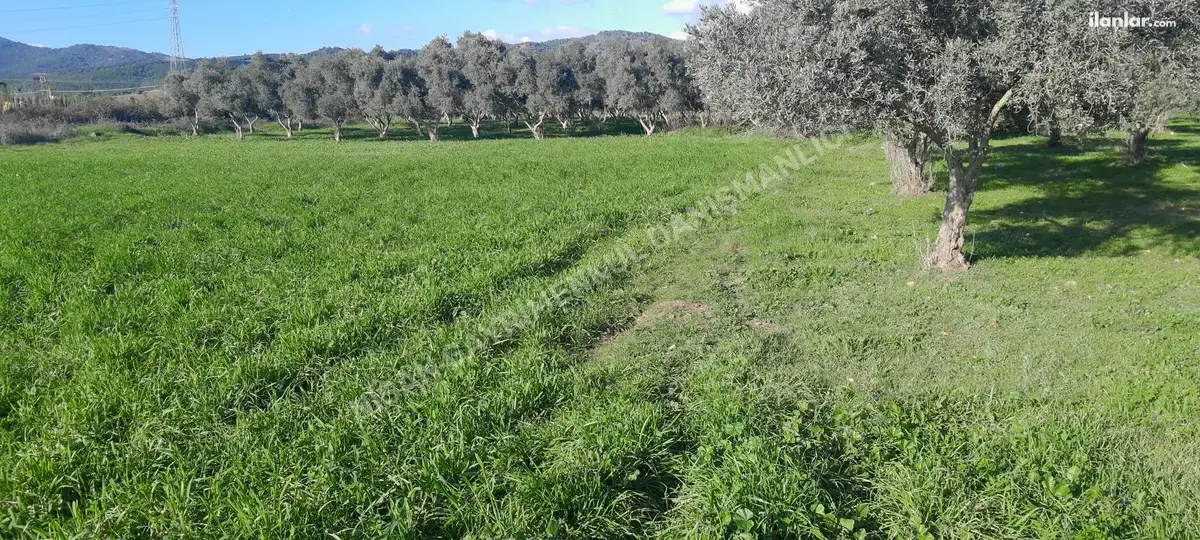 İzmir Torbalı Arslanlar Mahallesi 3.400 m² satılık arazi arsa - Fotoğraf 1