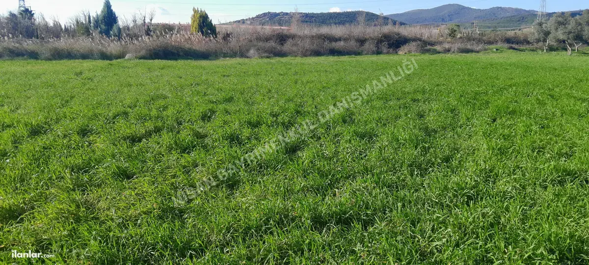 İzmir Torbalı Arslanlar Mahallesi 3.400 m² satılık arazi arsa - Fotoğraf 2