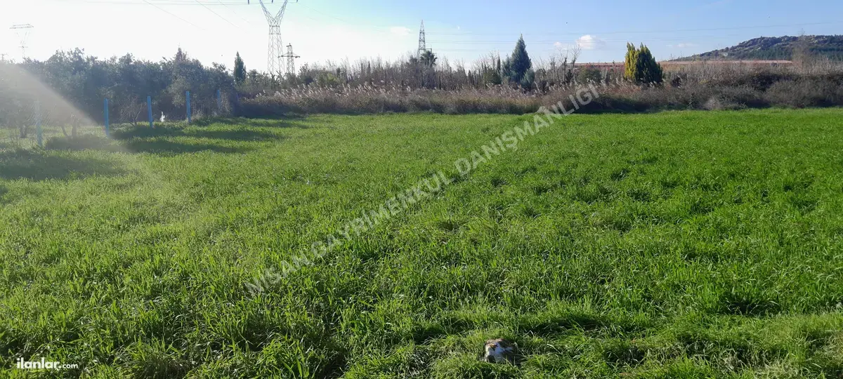 İzmir Torbalı Arslanlar Mahallesi 3.400 m² satılık arazi arsa - Fotoğraf 3