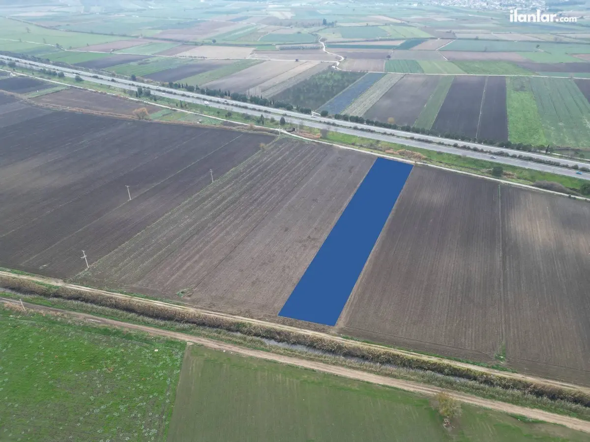 İzmir Torbalı Yeniköy Mahallesi 3.286 m² satılık tarla arsa - Fotoğraf 2