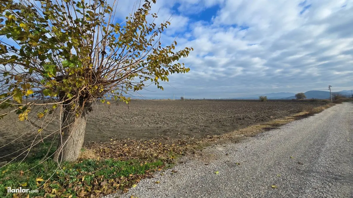 İzmir Torbalı Yeniköy Mahallesi 3.286 m² satılık tarla arsa - Fotoğraf 1