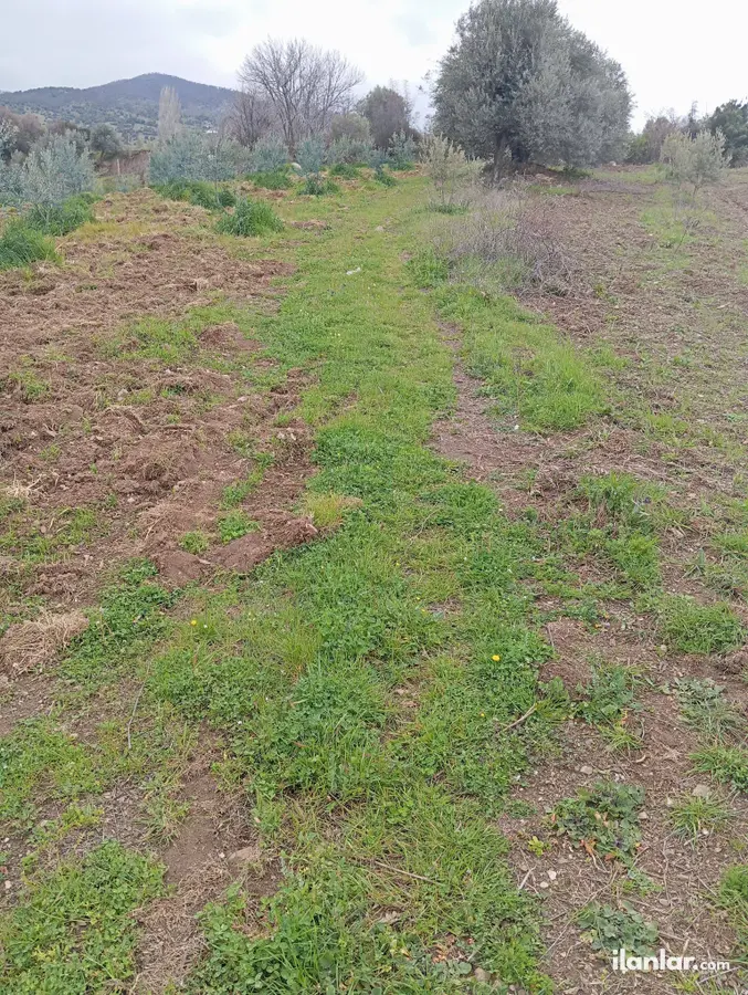 Manisa Salihli Karaağaç Mahallesi 427 m² satılık bağ & Bahçe arsa - Fotoğraf 1