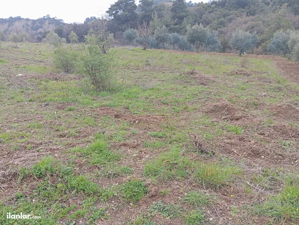 Manisa Salihli Karaağaç Mahallesi 427 m² satılık bağ & Bahçe arsa - Fotoğraf 2
