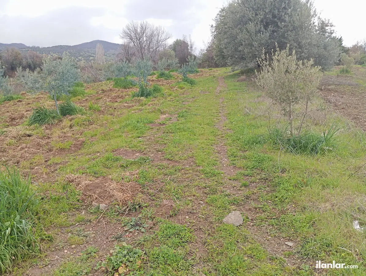 Manisa Salihli Karaağaç Mahallesi 427 m² satılık bağ & Bahçe arsa - Fotoğraf 3